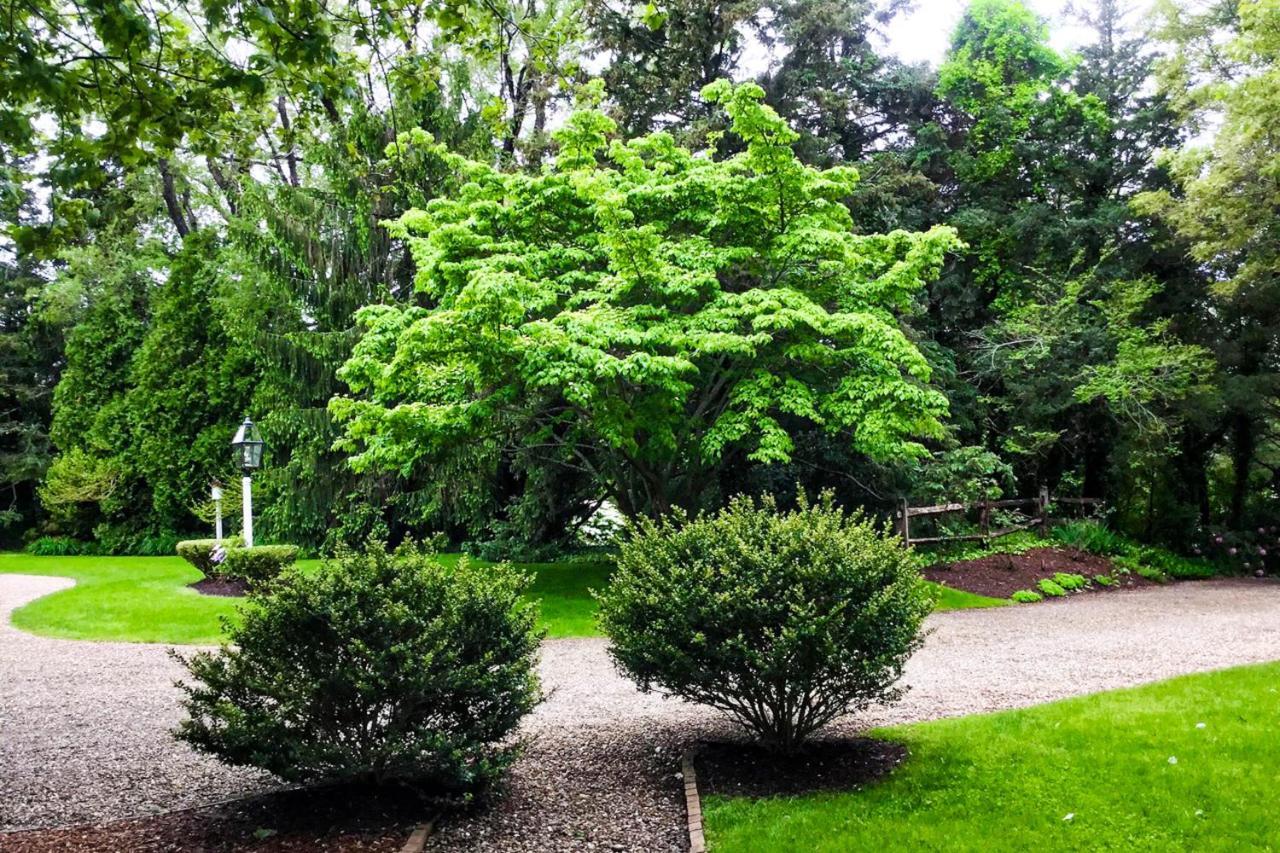 Villa Lily Hill Vineyard Haven Exterior foto